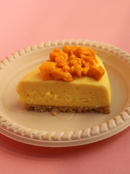 The Cheesecake Collection photo 20