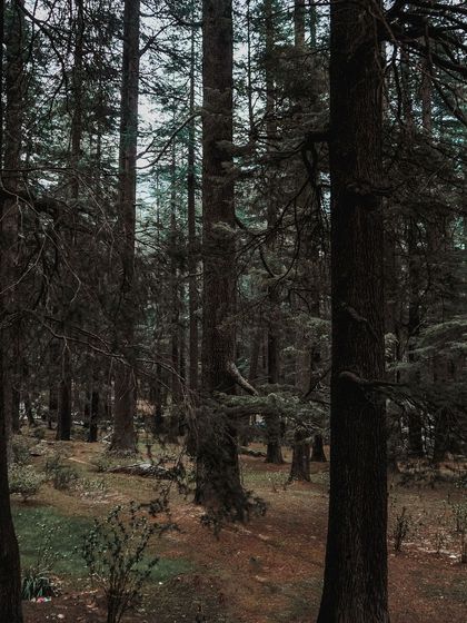 Garima Bhaskar - Photography Services Travel Diaries: Global & Local photo 75