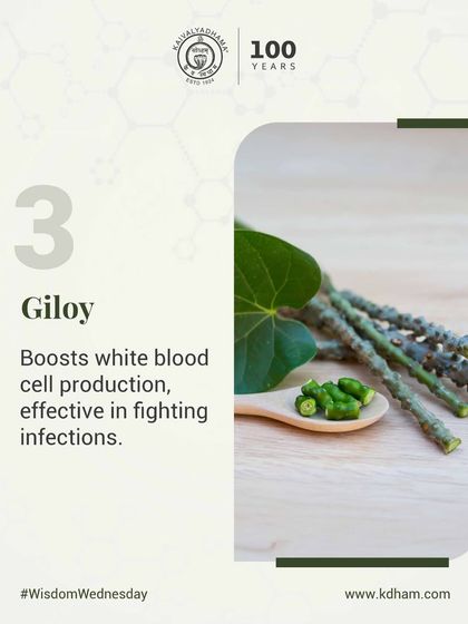 Giloy is a potent herb known to boost the production of white blood cells. We recommend it for its effectiveness in fighting infections and strengthening the body's natural immune response.