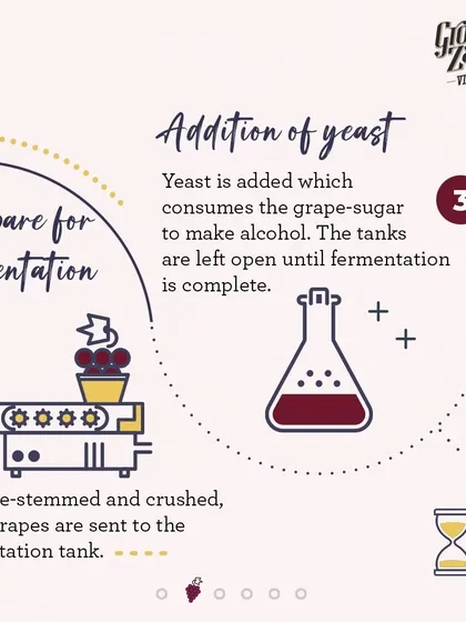 After being destemmed and crushed, the grapes are sent to a fermentation tank. Yeast is added to consume the grape sugar and convert it into alcohol.