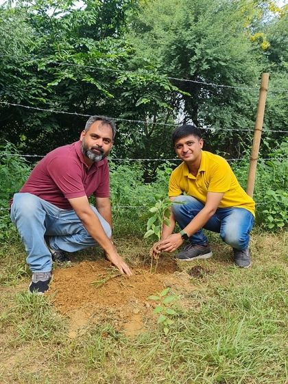 Two volunteers from NatWest work together to plant a tree at Ghata Bundh. These partnerships are vital for tackling large-scale restoration projects.