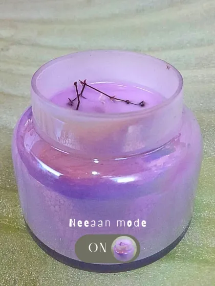 Because your vibe deserves better lighting. This iridescent purple jar candle, topped with dried botanicals, is perfect for turning on "Neeaan mode."