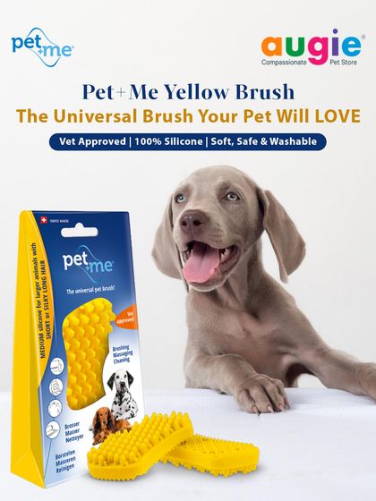 Augie Pets - Pet Supplies Spa Day at Home: Gentle Grooming Essentials photo 5