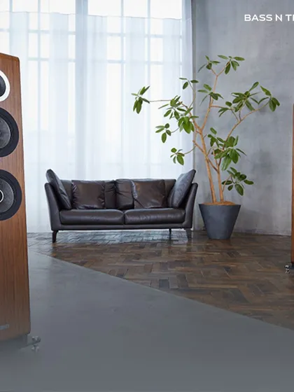 The TAD Evolution Two speakers in a spacious living room, demonstrating how high-end audio can be a central part of a stylish home environment.