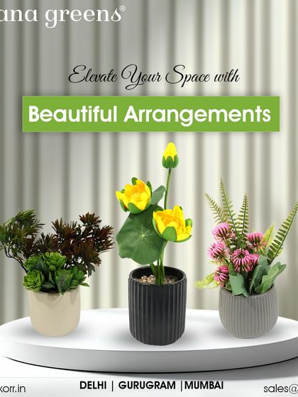 Potted Plants & Floral Arrangements photo 35