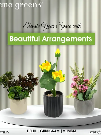 Elevate your space with our beautiful arrangements. This trio of small potted plants is perfect for adding variety and color to a shelf or console table.