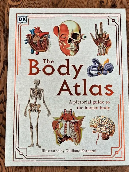 'The Body Atlas' is a pictorial guide to the human body, with detailed and fascinating illustrations of our anatomy.