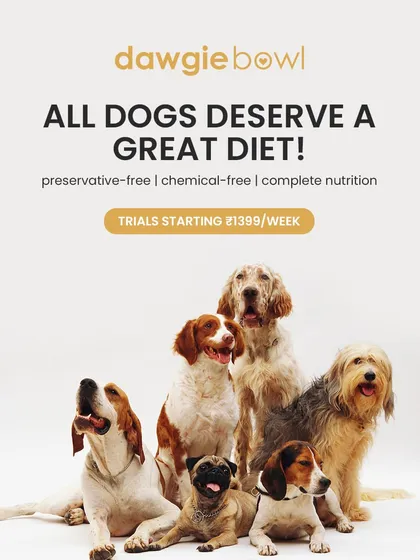 All dogs, no matter the breed or size, deserve a great diet. I provide complete nutrition that is free from preservatives and chemicals, ensuring every dog can be as healthy and happy as this diverse group.