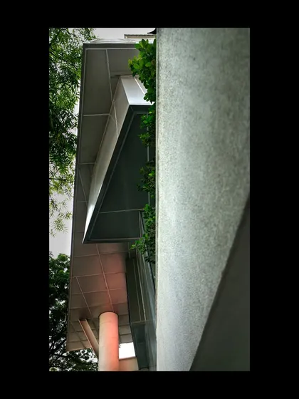 An abstract detail of the MAP building's exterior, showing the relationship between concrete, steel, and the surrounding foliage.