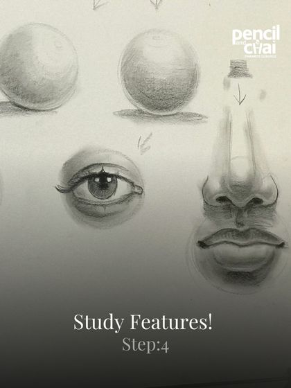 A study sheet showing the breakdown of facial features. We teach students to observe and draw each part of the face, from eyes and noses to the structure of lips.