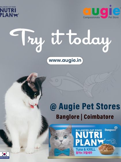 Augie Pets - Pet Supplies For Our Feline Friends: Premium Cat Nutrition photo 26