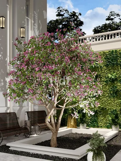 We design outdoor spaces to foster a deeper connection between humans and nature. This courtyard features manicured landscapes and inviting seating areas, offering a tranquil retreat for relaxation or social interaction under a flowering tree.