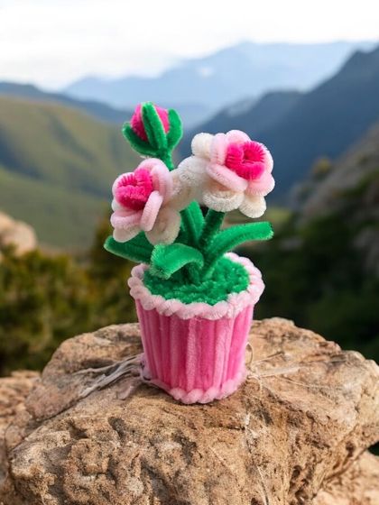 Our little pink potted flower, enjoying some time outdoors. These little pots are so versatile and can be placed anywhere.