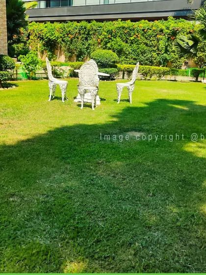 Lawn Care & Revitalization photo 3