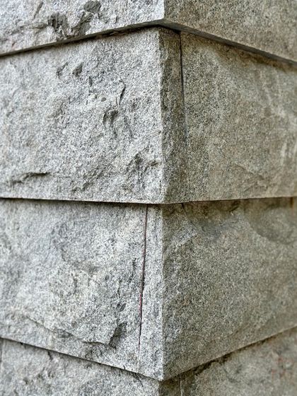 A duplicate of ID 123.