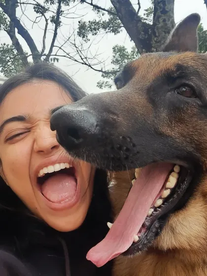 This is the bond I live for. That goofy, joyful, "I'm so happy to be with you" energy. My training is designed to bring out this side of your dog, creating a partnership built on fun, trust, and a whole lot of laughter.
