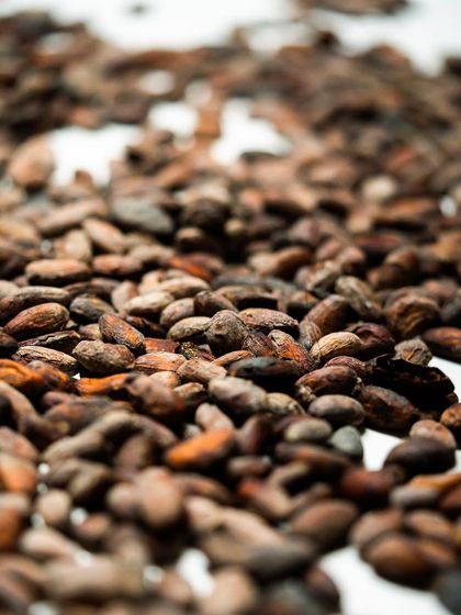 A close-up of perfectly roasted cacao beans, the humble ingredient that is the heart and soul of all chocolate creations.