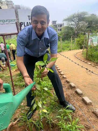 An Infoglen volunteer waters a newly planted sapling along a restored path, showcasing how corporate action directly greens our community spaces.
