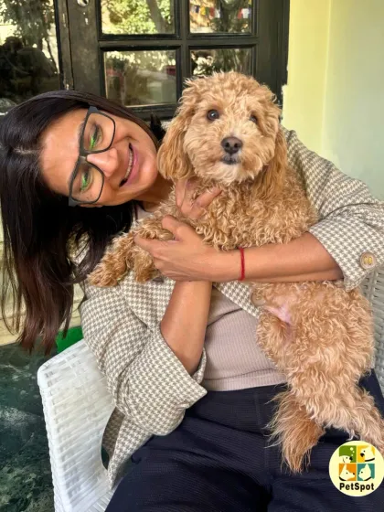 A happy hug for Archie. One-on-one attention is a key part of our care philosophy, ensuring every pet feels loved and special during their stay.