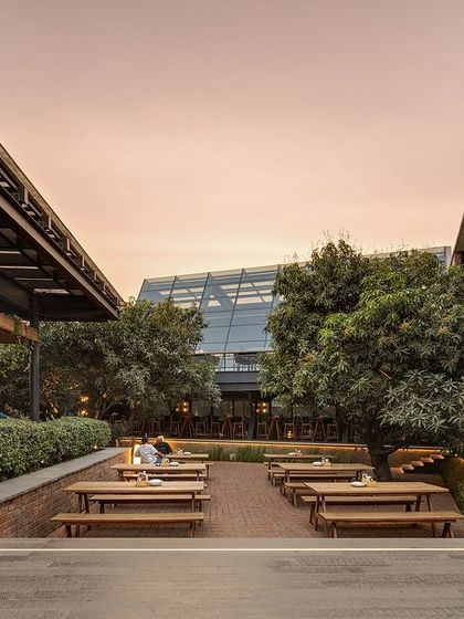 A sunken seating area at Zero40 Brewery, surrounded by picnic tables and shaded by existing mango trees. This multi-level design creates a casual, communal atmosphere perfect for a brewery setting.