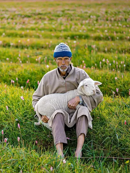 I met this shepherd in the highlands of Kashmir. This portrait is about more than just a face; it's about capturing a story of resilience and a deep connection to the land, showing the kind of authentic human stories I love to document.