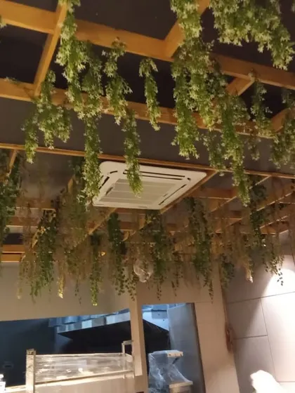 A ceiling grid in a commercial space filled with hanging white wisteria and other green vines, creating a soft and romantic overhead canopy.