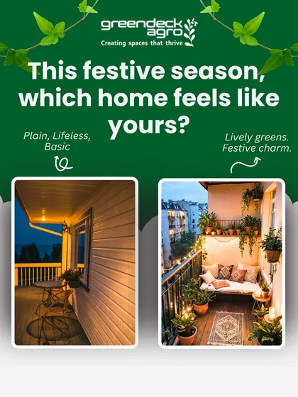 A festive home deserves lively greens, not a plain balcony. This before-and-after shows how our service can transform your space to match the festive charm.