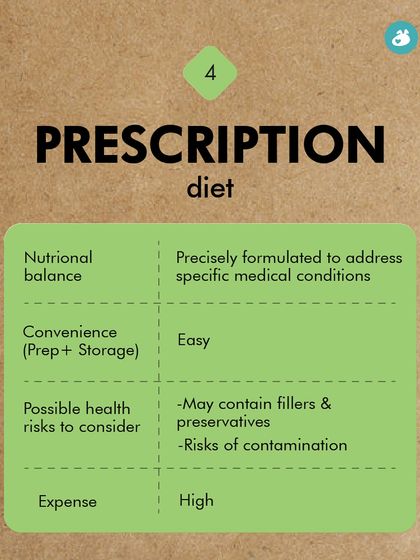 The Pack - Pet Parent Education & Workshops The Healthy Bowl: Canine Nutrition & Recipes photo 33