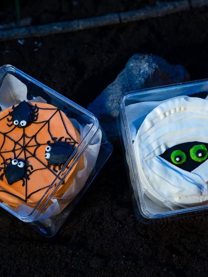 Another shot of the spooky spiderweb and mummy bento cakes.