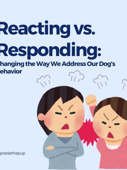 This infographic series contrasts "Reacting vs. Responding" for common behaviors like jumping on guests, barking, and pulling on the leash, showing how a proactive mindset leads to better solutions.