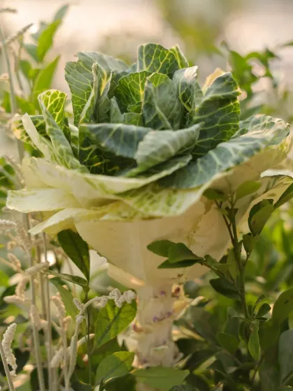 Intricate Details & Traditional Touches photo 25