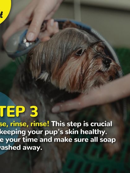 Step 3 of bathing: Rinse, rinse, rinse. This is a crucial step for healthy skin, and we make sure all soap is washed away.