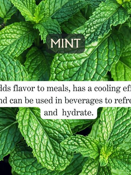 Mint is more than just a garnish. It has a natural cooling effect and adds refreshing flavor to beverages and meals, helping you stay hydrated and refreshed.