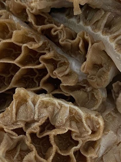 The unique honeycomb texture of buffalo tripe is highly palatable for dogs. We provide it unbleached and minimally processed to retain all its nutritional benefits.