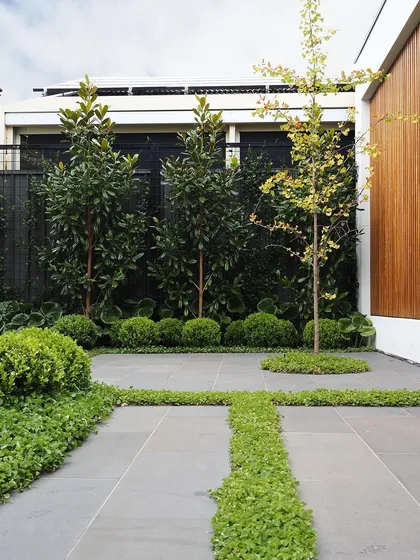 A geometric paving design where the groundcover is planted in the shape of a cross. This creative approach to hardscaping turns a simple patio into a unique design feature.