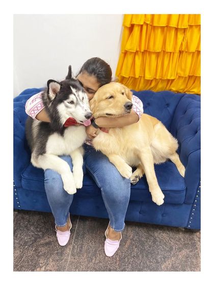 Furrybells Pet Grooming - Pet Grooming (Dogs & Cats) Breed-Specific Dog Styles photo 74