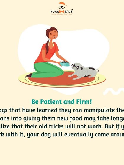 Dealing with a picky eater? This series explains why dogs become fussy, how their sense of smell is more important than taste, and the steps you can take to break the cycle of picky eating.