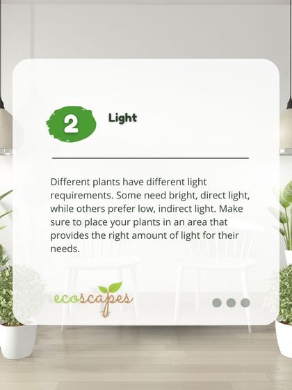 Ecoscapes Landscaping - Urban Gardening & Green Walls Urban Gardening Guides photo 23