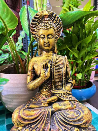 This Buddha statue is surrounded by a variety of indoor plants, including lucky bamboo. It shows how you can create a small, spiritual garden right inside your home.