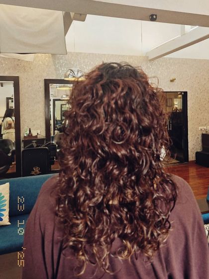 The back view of this gorgeous curly haircut. You can see the volume and definition in every curl, creating a full and healthy look.