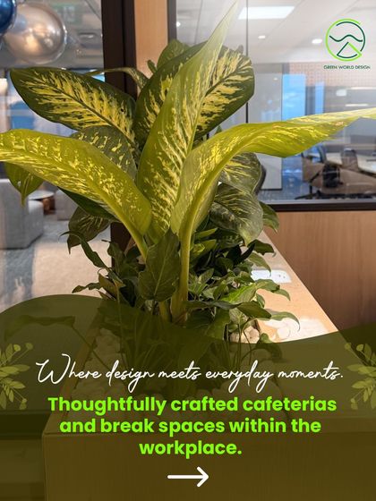 This is a closer look at the planter design for a corporate cafeteria. The selection of Dieffenbachia and other foliage plants was based on their aesthetic appeal and resilience in an indoor environment, transforming a simple break space into a green accent.