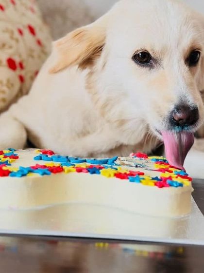 Another shot of our rainbow-flowered bone cake, a popular choice for Pride Month celebrations.