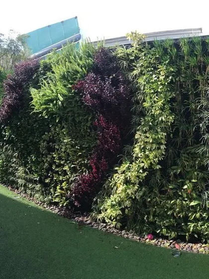 This outdoor vertical garden uses a mix of imported plants to create a colorful and diverse living wall. It's a fantastic way to add a lot of greenery to a space with a small footprint.