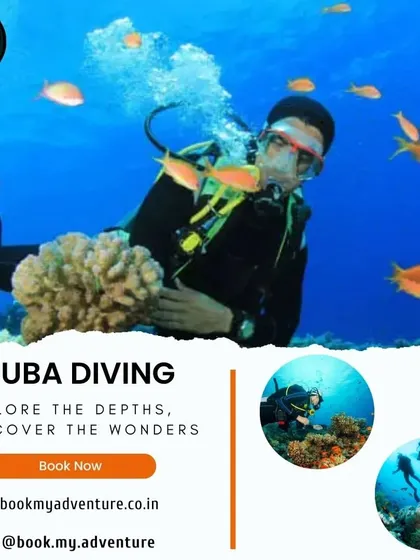 Dive into a different world with our guided scuba diving trips. This image showcases the vibrant marine life you can encounter as you explore the calm and beautiful depths. We handle all the equipment and guidance, so you can just focus on the wonder.