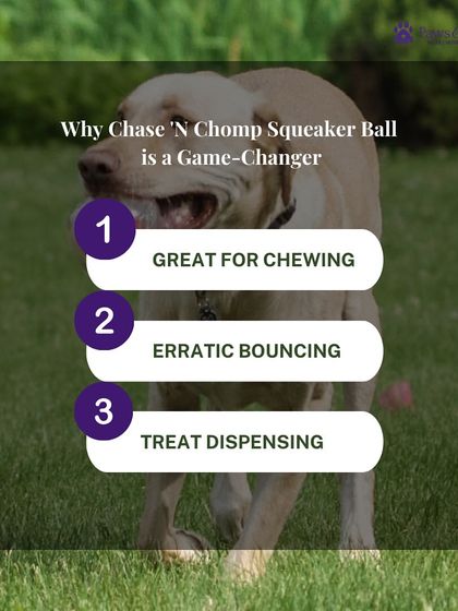 PawsnCollars - Pet Supplies Playtime & Enrichment Toys photo 9