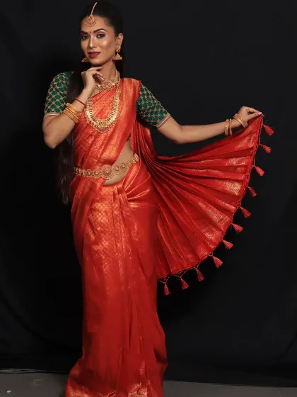 For this photoshoot, we wanted to create a dramatic effect by fanning out the pleats. This shows the artistic side of saree draping and how the fabric can be sculpted to create stunning visuals.