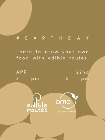 An event poster for a free seed planting and microgreens workshop I hosted at OMO Cafe on Earth Day, inviting the community to learn to grow their own food.