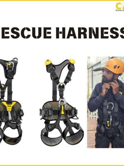 Charlie's Animal Rescue Centre - Animal Rescue & Adoption Our Voice: Advocacy & Awareness photo 7