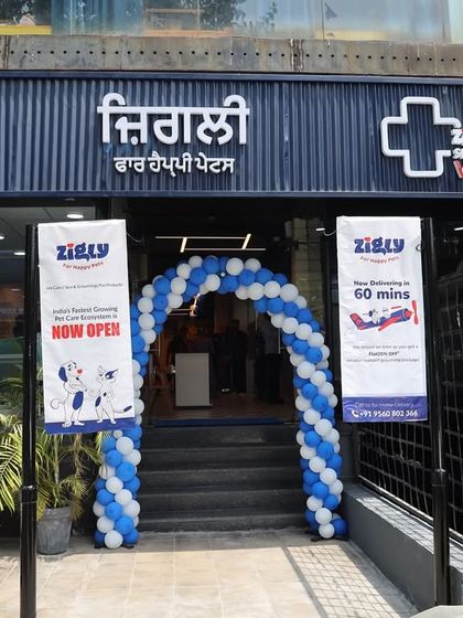 Zigly - Veterinary Services A Look Inside Our Hospitals photo 6