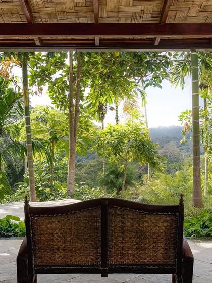 The view from the Garden Suite's green room, looking out from the veranda into the lush, layered landscape of the Andamans.